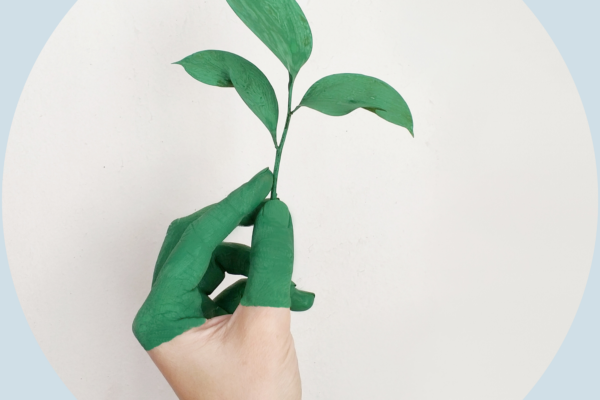 The Importance of Embracing Sustainability in Modern Dentistry